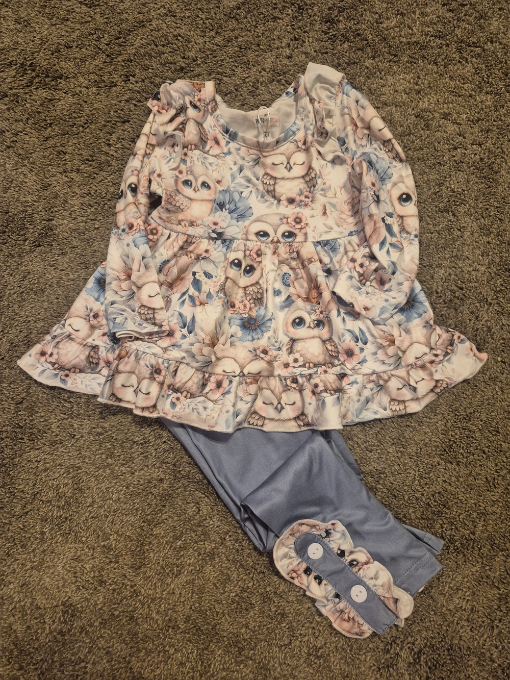 Girls Owl Ruffle Pajama Set - Blue & Pink